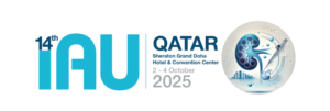 IAU conference 3